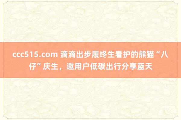 ccc515.com 滴滴出步履终生看护的熊猫“八仔”庆生，邀用户低碳出行分享蓝天
