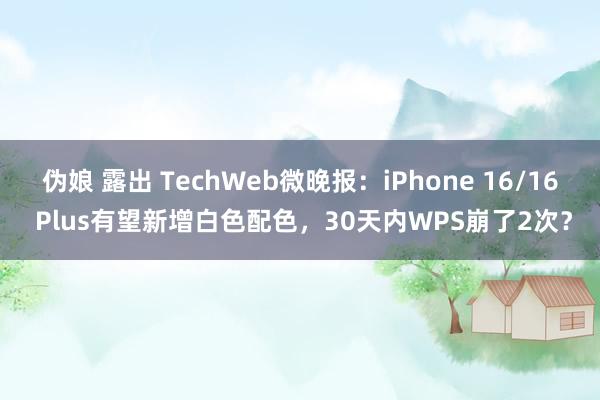 伪娘 露出 TechWeb微晚报：iPhone 16/16 Plus有望新增白色配色，30天内WPS崩了2次？