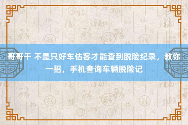 哥哥干 不是只好车估客才能查到脱险纪录，教你一招，手机查询车辆脱险记