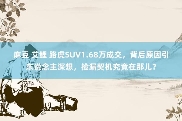 麻豆 艾鲤 路虎SUV1.68万成交，背后原因引东说念主深想，捡漏契机究竟在那儿？