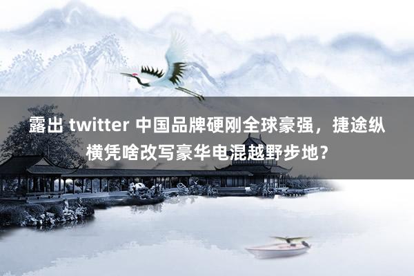 露出 twitter 中国品牌硬刚全球豪强，捷途纵横凭啥改写豪华电混越野步地？