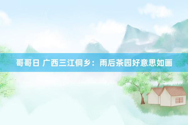 哥哥日 广西三江侗乡：雨后茶园好意思如画