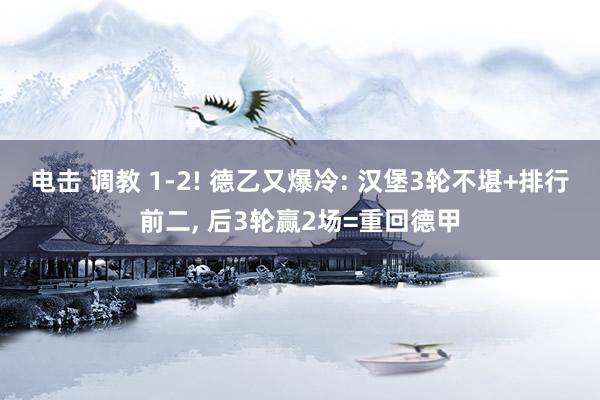 电击 调教 1-2! 德乙又爆冷: 汉堡3轮不堪+排行前二， 后3轮赢2场=重回德甲